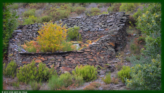 XOAN ARCO DA VELLA AS ALBARIZAS ALBARES
