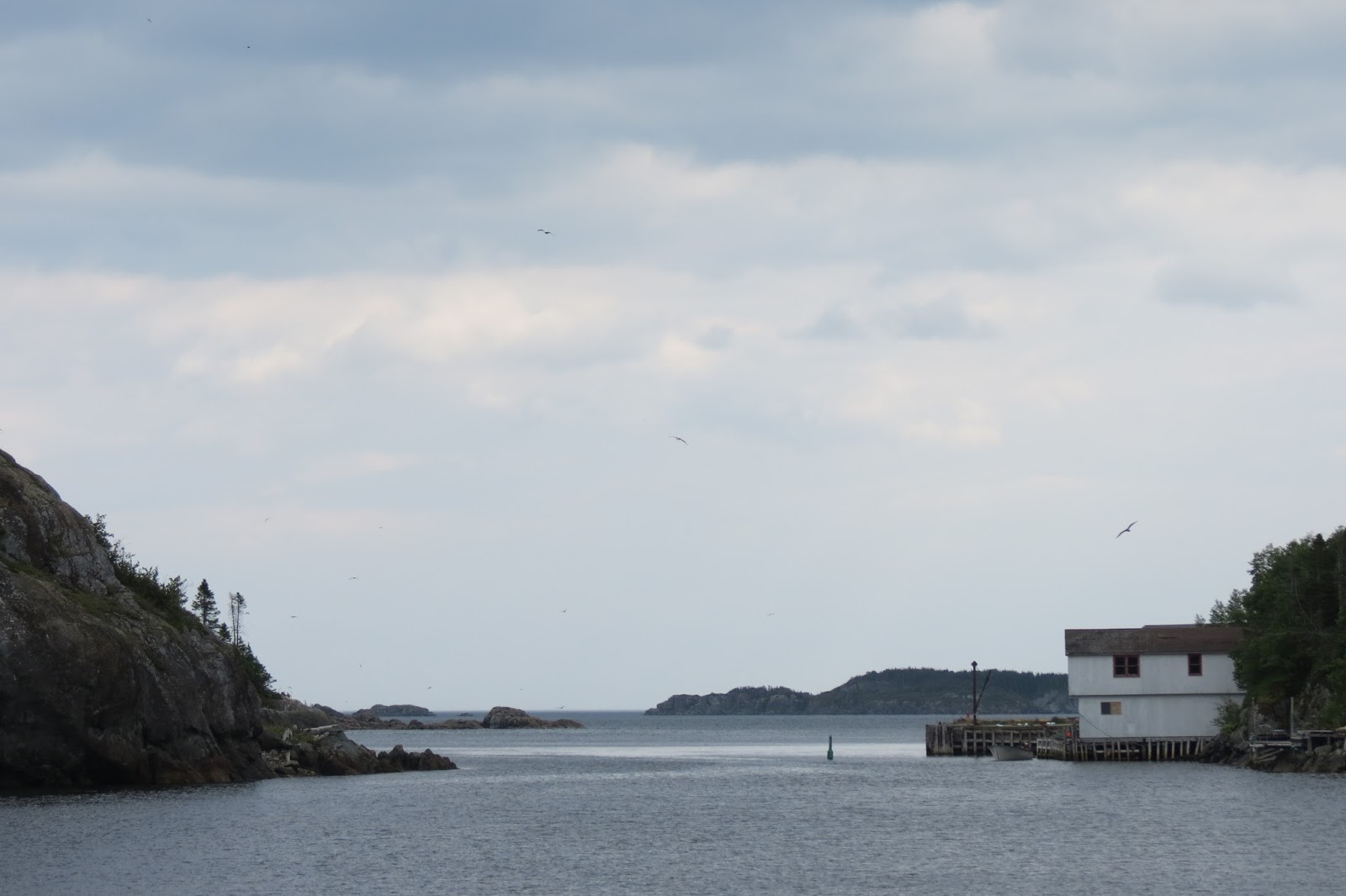 Travel Newfoundland and Labrador by Motorcycle Nippers Harbour to