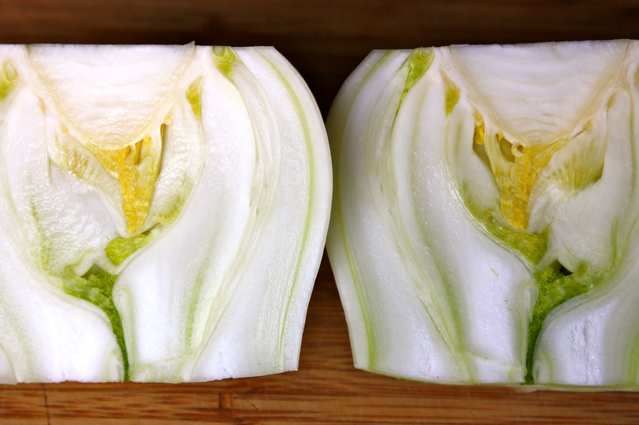 My Own Private Kitchen Caramelized Fennel