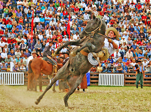 Semana Criolla en Montevideo, Rural del Prado 