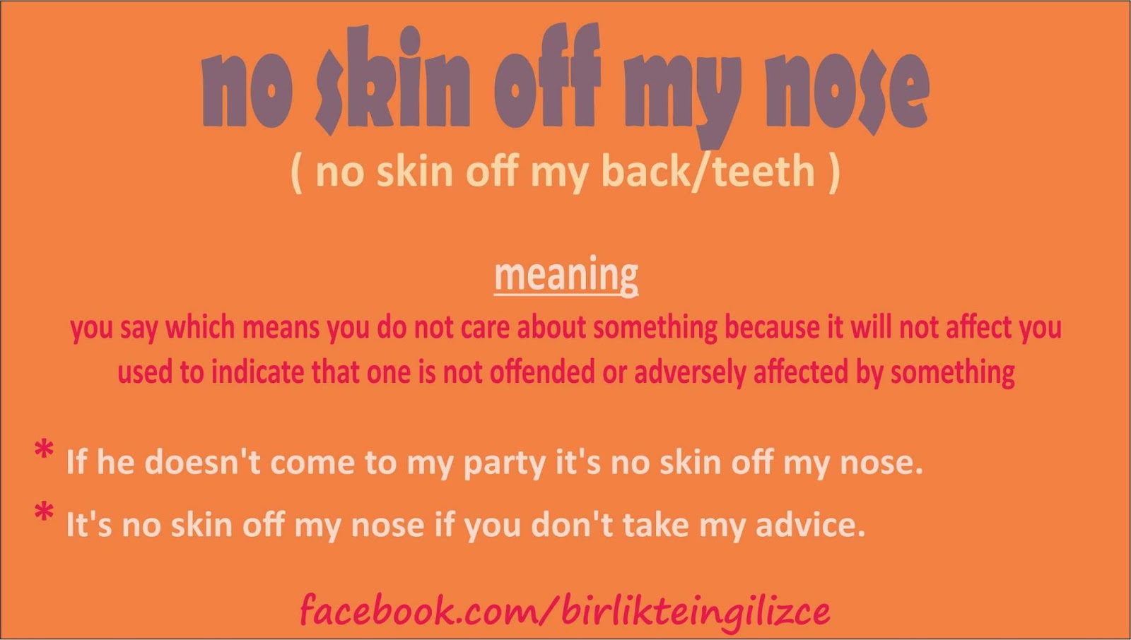Idiom no skin off of my nose Idiom no skin off of my nose