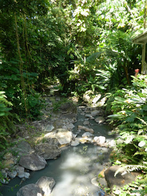 Stream at Diamond Botanical Garden Soufriere St. Lucia by garden muses-not another Toronto gardening blog Stream at Diamond Botanical Garden Soufriere St. Lucia by garden muses-not another Toronto gardening blog