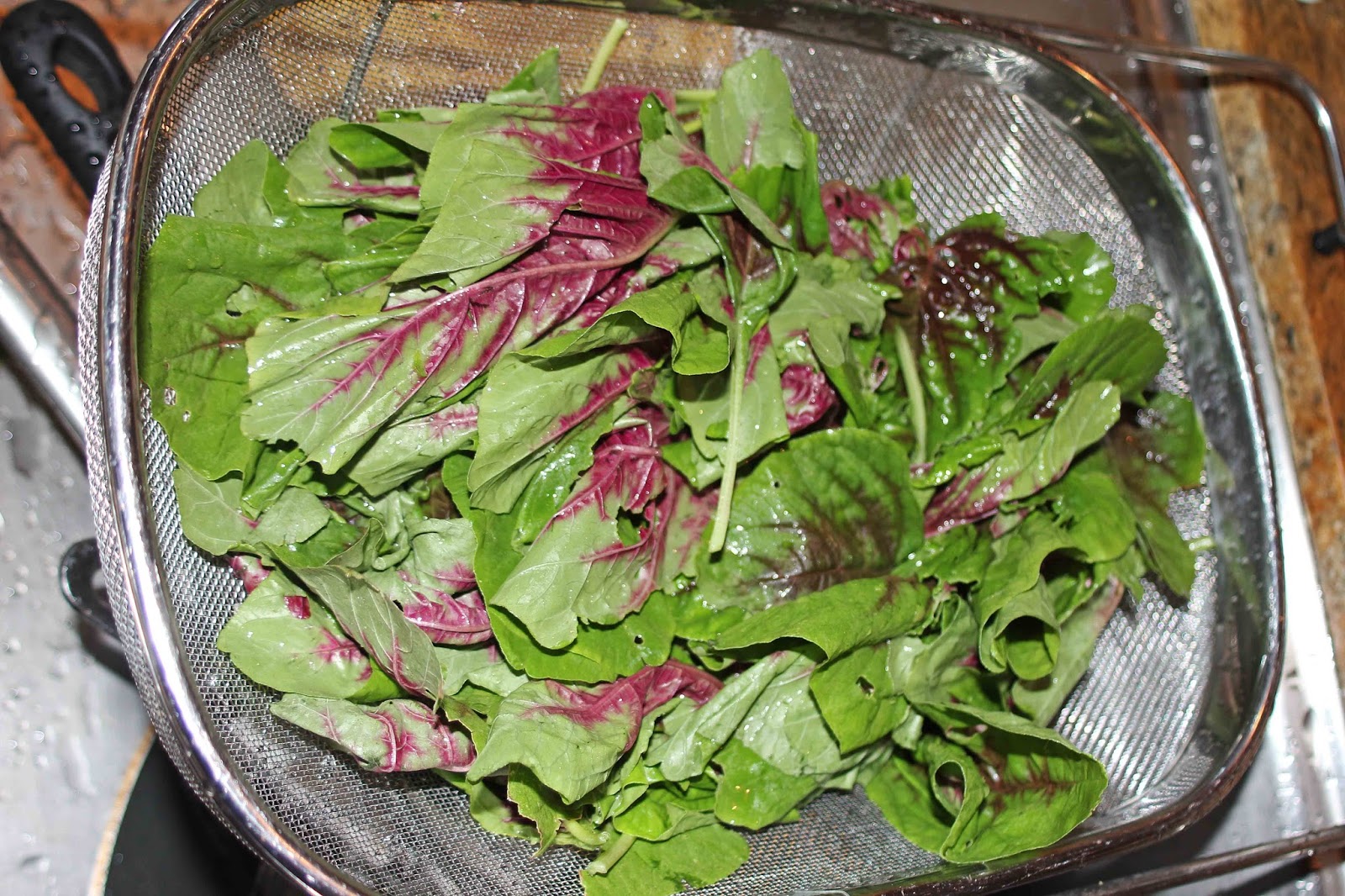 The Grub Files Cooking with Camissonia StirFried Red Amaranth Greens