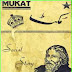 Mukat By Rabindranath Tagore Urdu Translation PDF Book