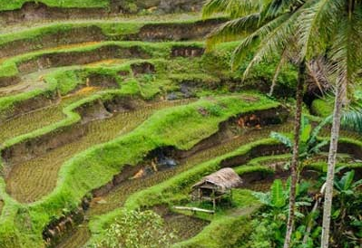 Kabar Wisata Kita: Lembah Pantunan Bangli