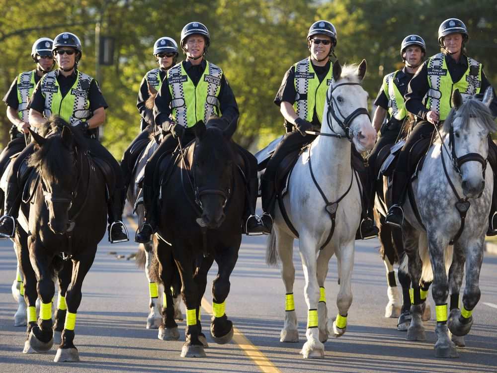 Mounted unit. Конная полиция Ванкувер. Конная палитра».