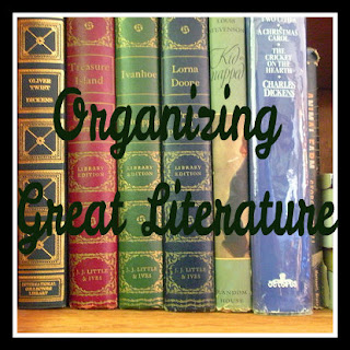 organizing analyzing and finalizing literature review