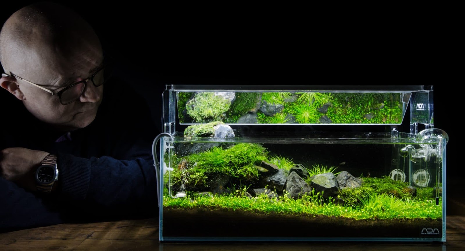 Ini Dia 6 Jenis Batu Yang Cocok Untuk Aquascape Beserta Harganya
