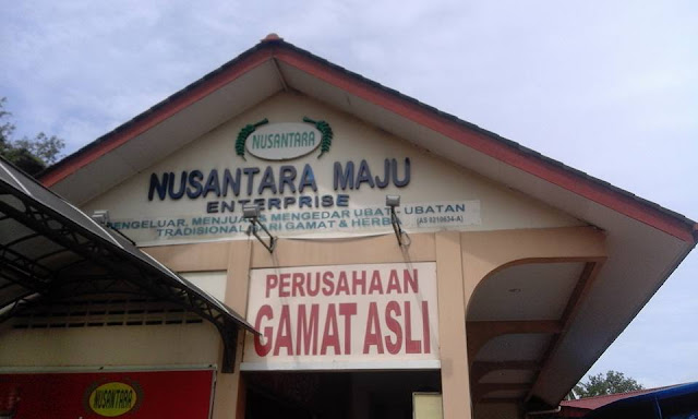 Minyak Gamat Nusantara 