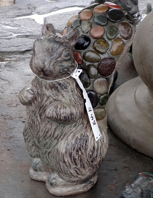stone squirrel