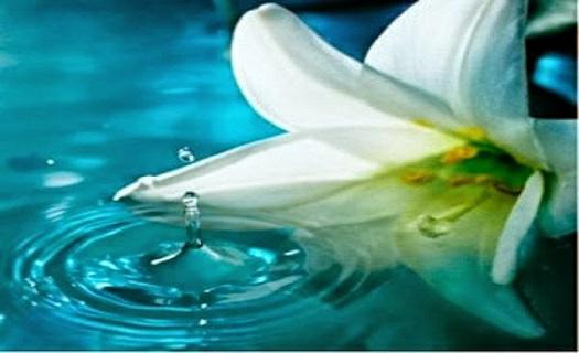 Niat Mandi Wajib Lafadz Niat Mandi Wajib Junub Lengkap Untuk Lelaki Perempuan