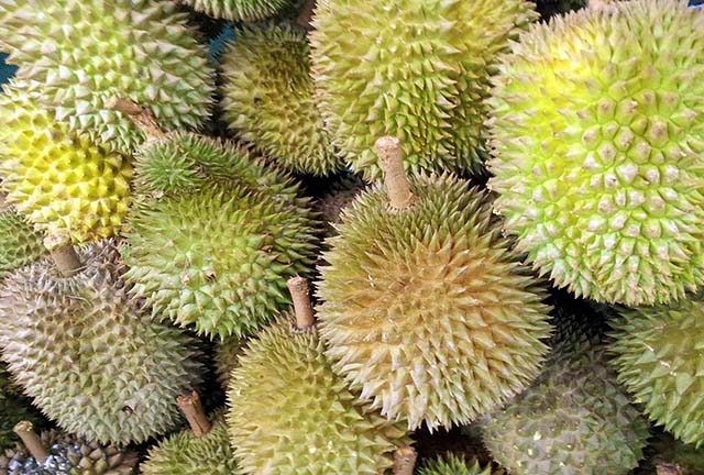 Tahukah Kamu, Mengapa Buah Durian Berbau Tajam? Tahukah Kamu, Mengapa Buah Durian Berbau Tajam?