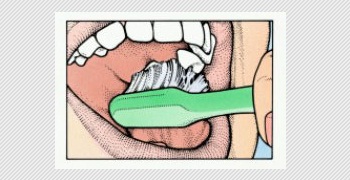 Bagaimana Cara Menggosok Gigi  Yang Benar Aku Sehatku