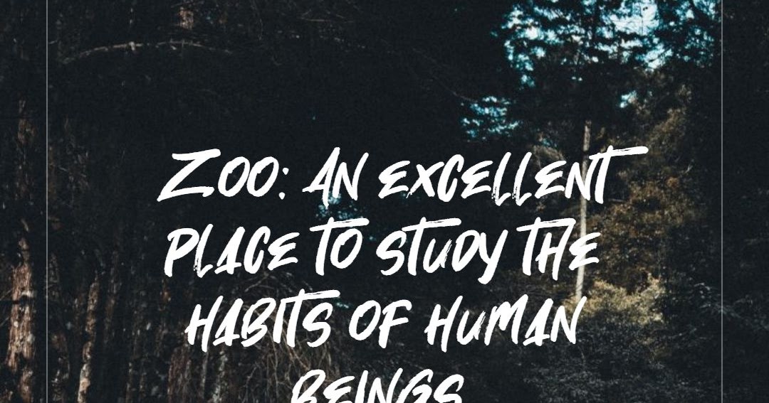 quotations for zoo essay