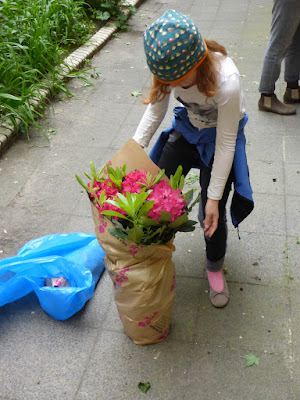 Kind packt Pflanze aus Kind packt Pflanze aus