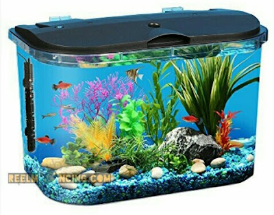 cara menggunakan heater aquarium