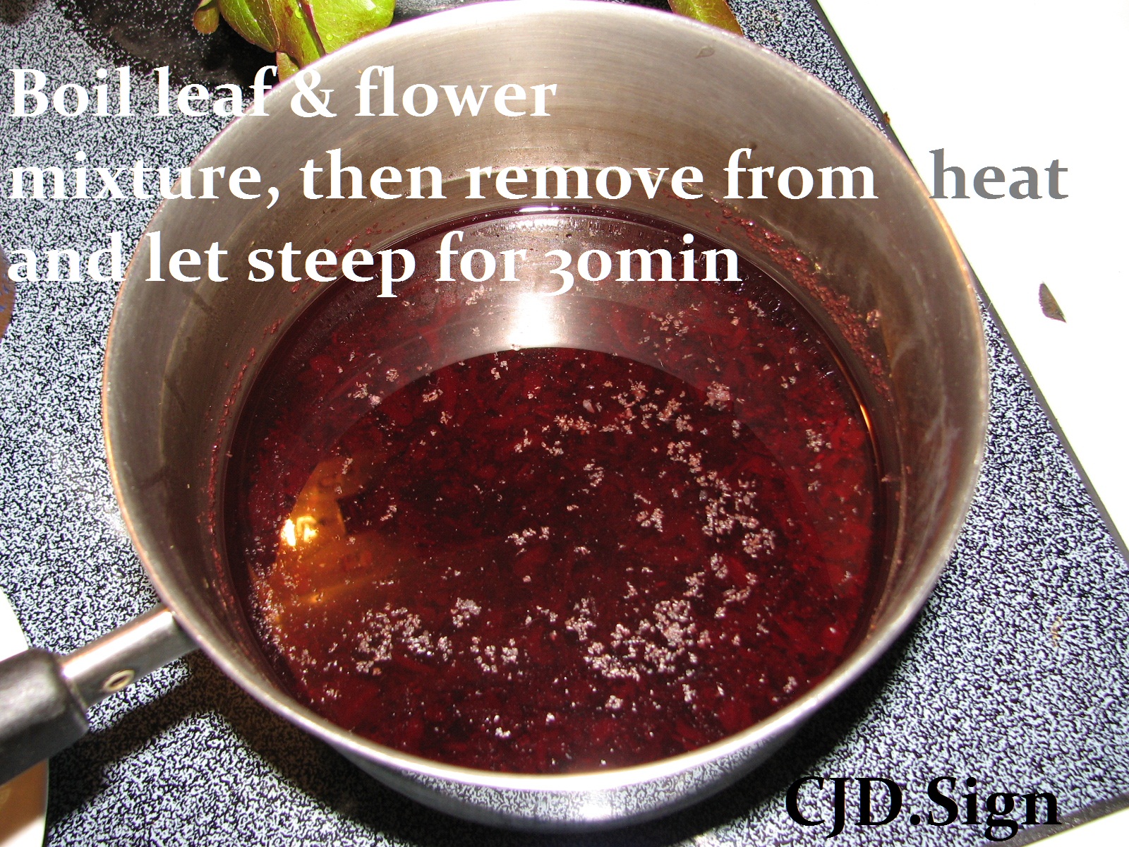Beauty Tuesday Hibiscus and Rosemary Hair Dye or Rinse