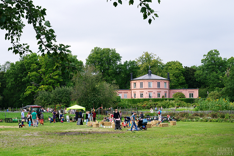 Harvest festival at Rosendals Trädgård, Stockholm. Photo by Alicia Sivertsson.
