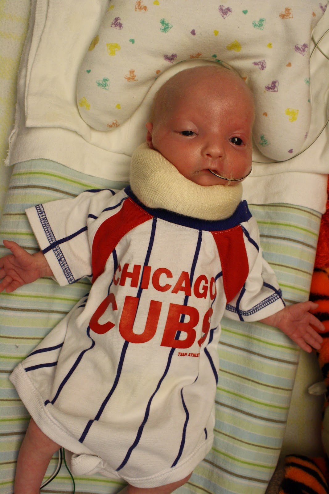 Our Family in a Snapshot MTV Cribs NICU Edition