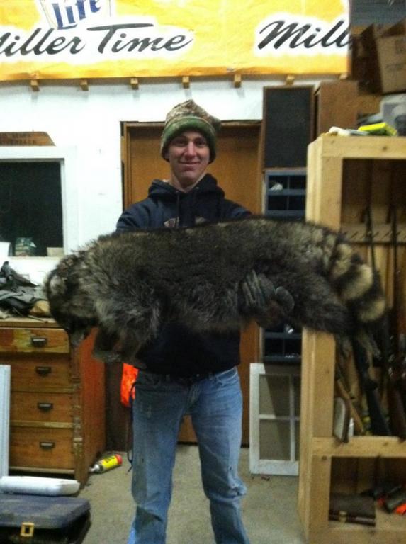 My Search For A Home Raccoon Removal Service For Homes my-search-for-a-home-raccoon-removal-service-for-homes