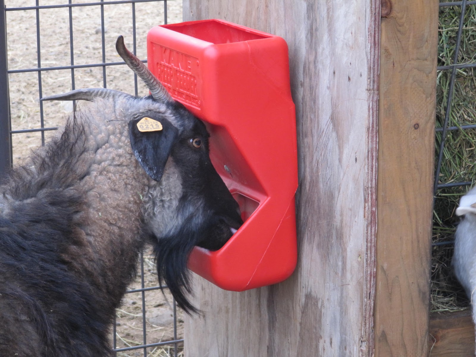 LIBERTY FARM CASHMERE GOATS Mineral Feeders