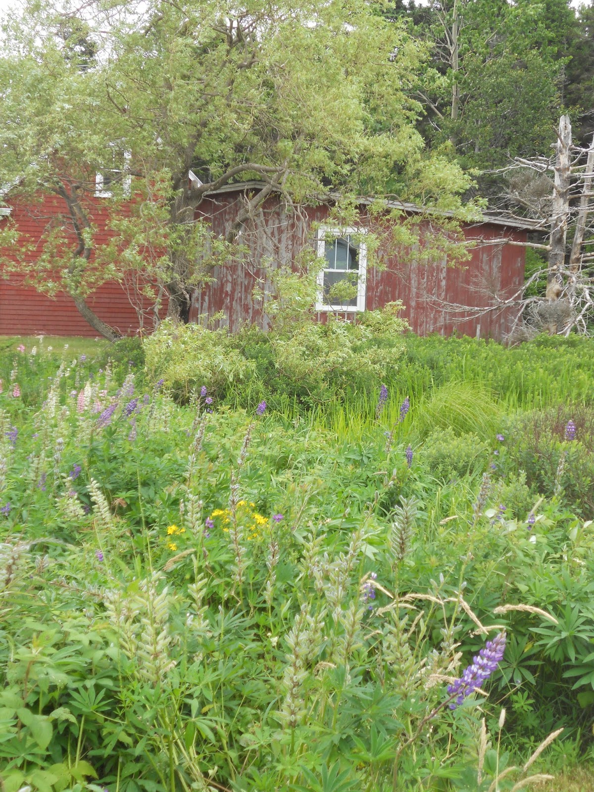 Playing Hat Hooky A Ride to Corkum's Island The Hat Junkie