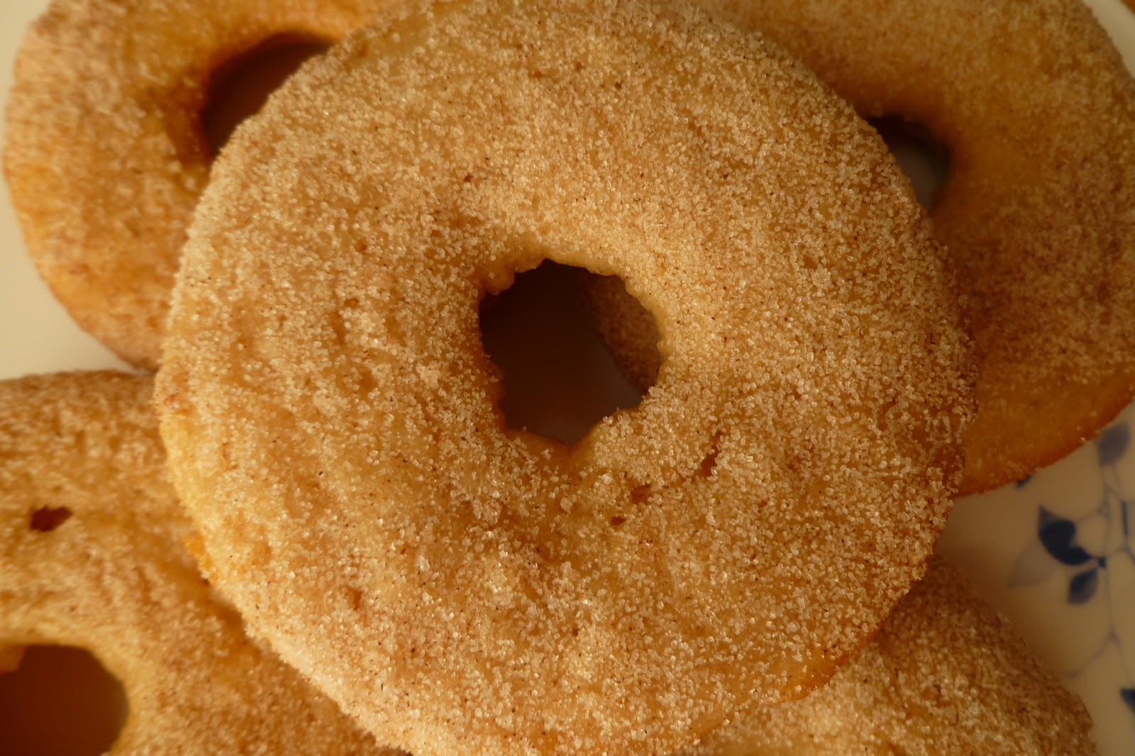 The Pastry Chef's Baking Vanilla Cinnamon Sugar and Buttermilk Doughnuts