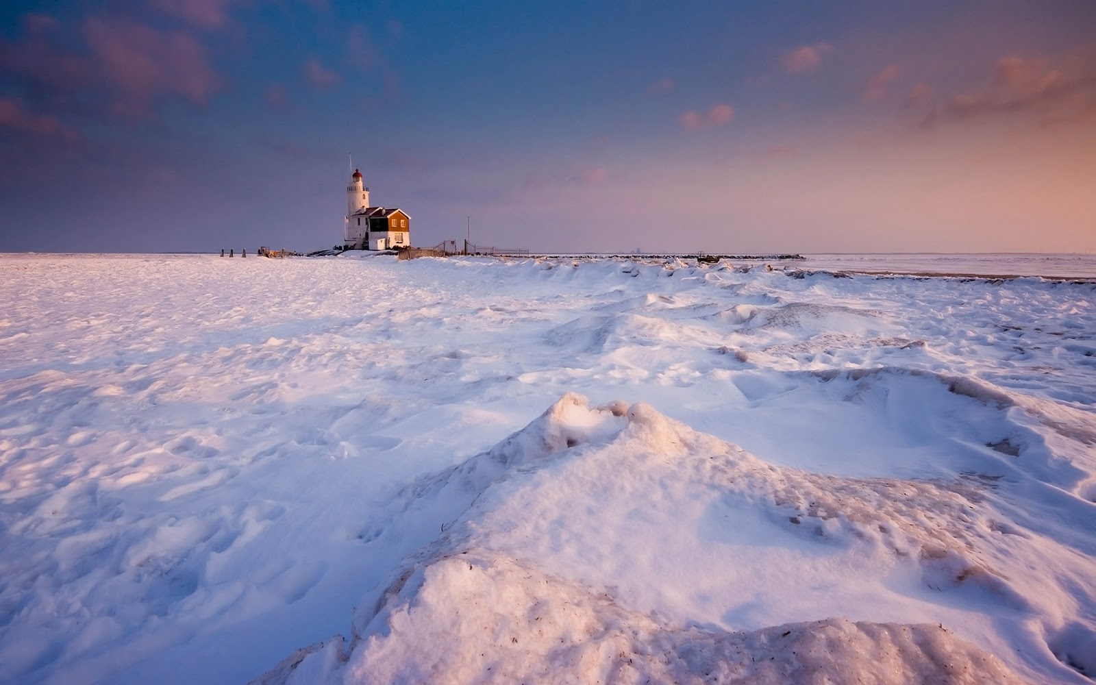 Paard van Marken Sander Poppe Landscape