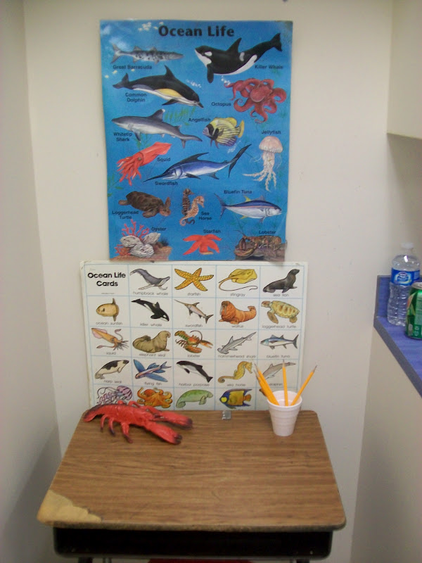 Cozy Kindergarten: Ocean Exploration Room
