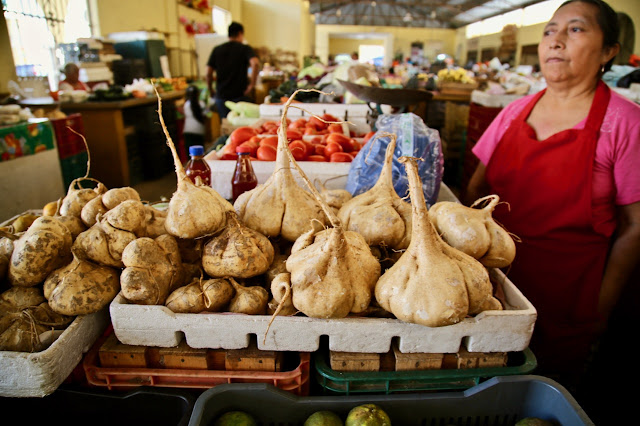 jicama, valladolid market, mexico