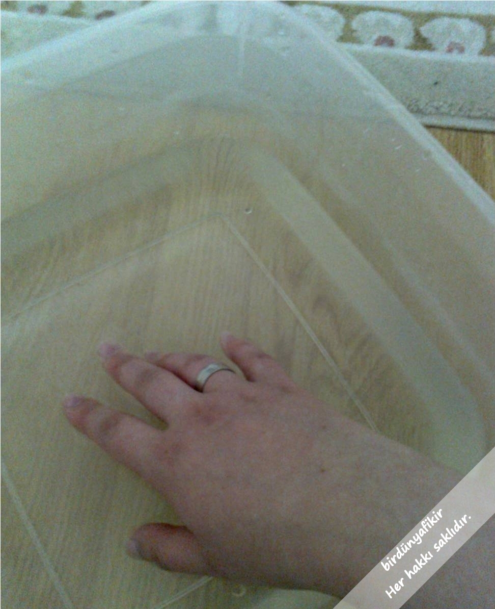 bir dünya fikir: DOĞAL EV TEMİZLEYİCİ