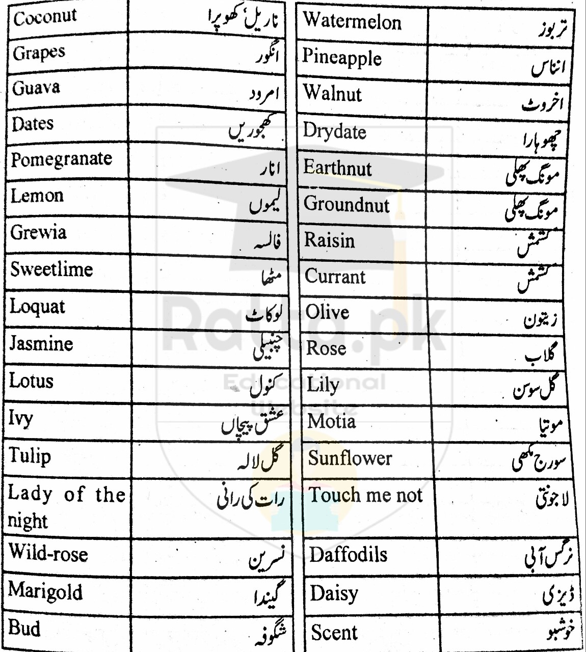 Fruits and Flowers English Words and Meanings in Urdu