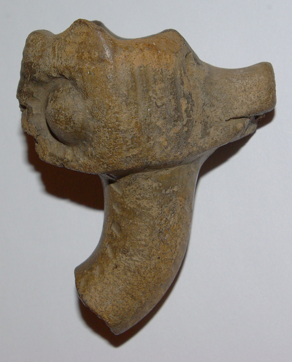 Huronia Chapter Ontario Archaeological Society Photos