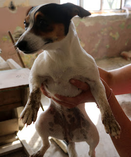 Just a little bit filthy after that fun Just a little bit filthy after that fun