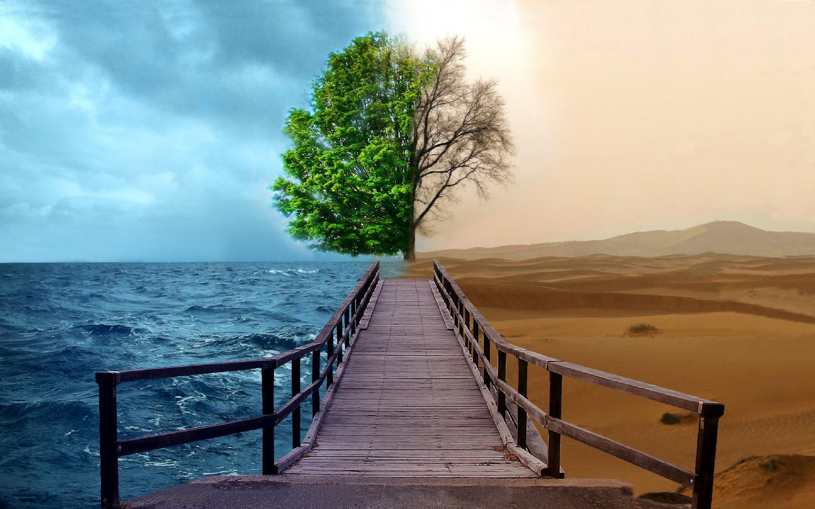 wallpapers hd desktop wallpapers free online desktop backgrounds