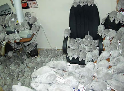 17 Contoh Bercanda di Kantor yang Keterlaluan, Dijamin NGAKAK!