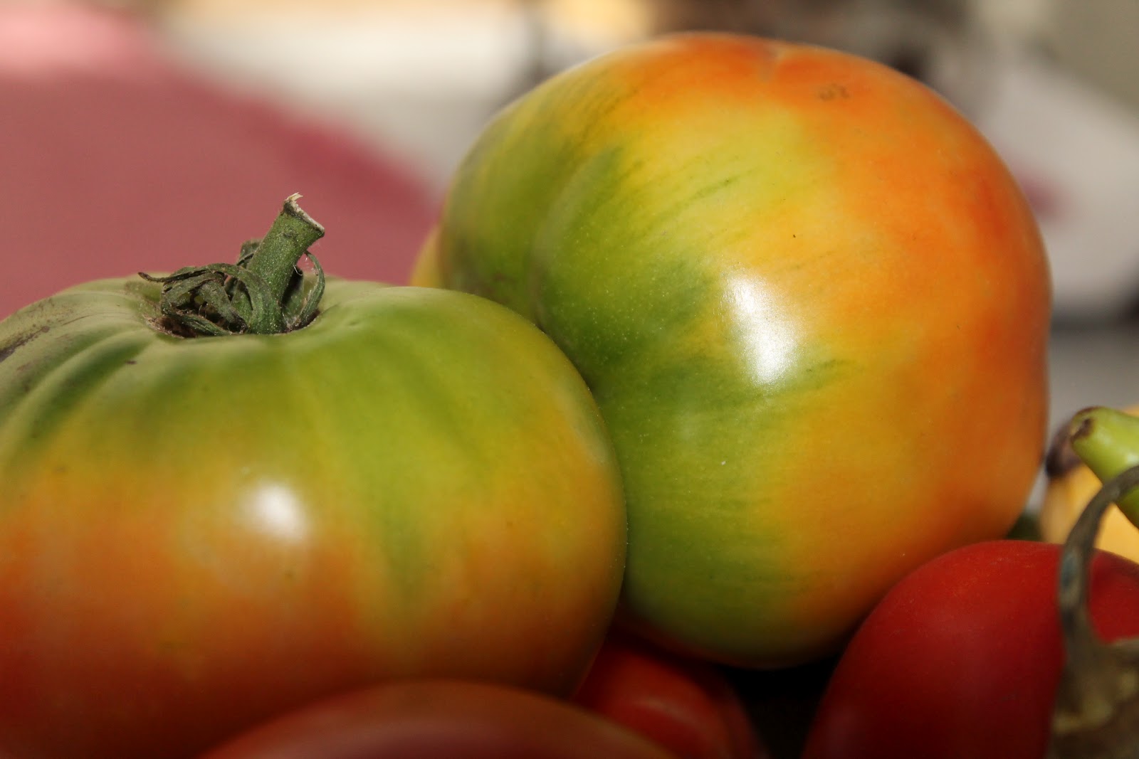 RuthieRedBird Rainbow Tomatoes