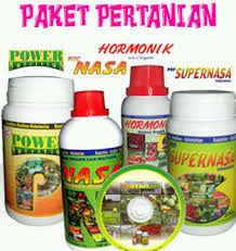 agar kopi berbuah lebat agar kopi berbuah lebat