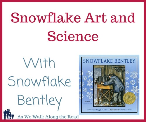 Snowflake art and science ideas for Snowflake Bentley Snowflake art and science ideas for Snowflake Bentley