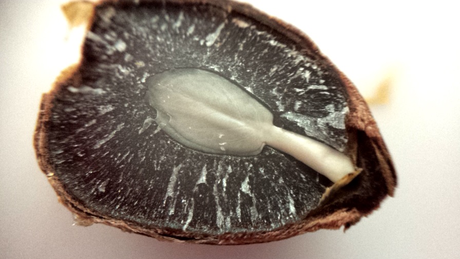 Divinebunbun's Rugged Rural Missouri 2016