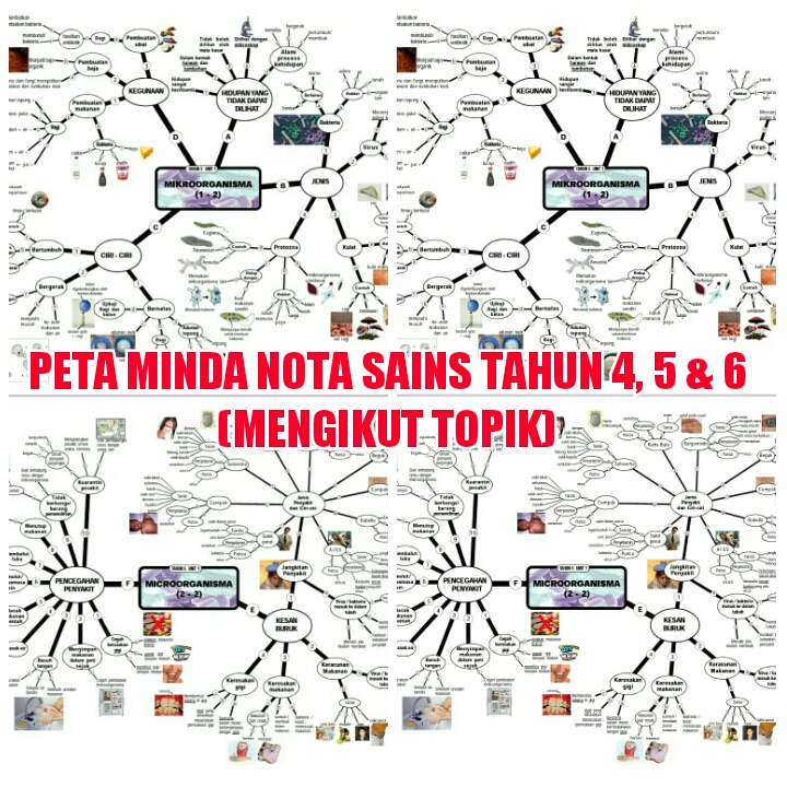 I 5 sains tahun peta think Peta Ithink