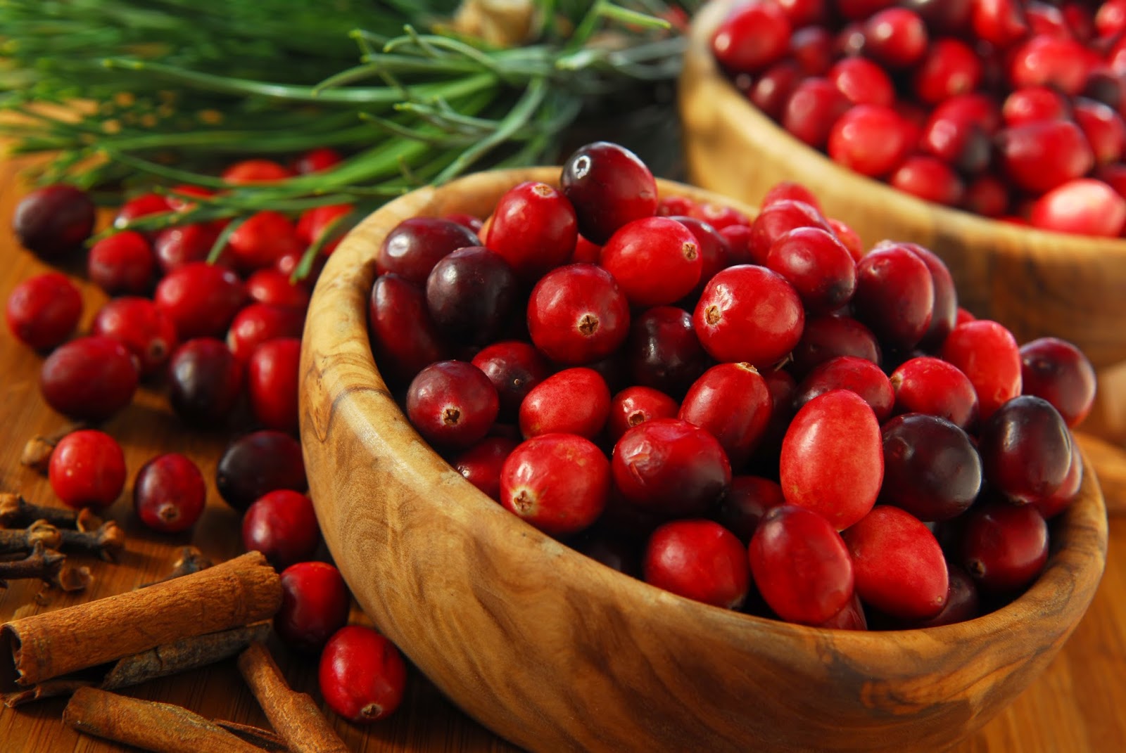 Bounce That Cranberry - Healthy For Us All