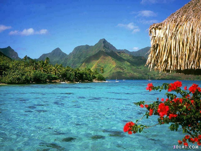 صور مناظر طبيعية