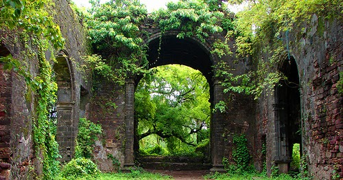 Tours And Travels In Vasai Tours And Travels In Vasai