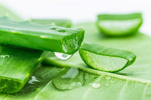 Vài mẹo trị sẹo thâm ở chân vai-meo-tri-seo-tham-o-chan