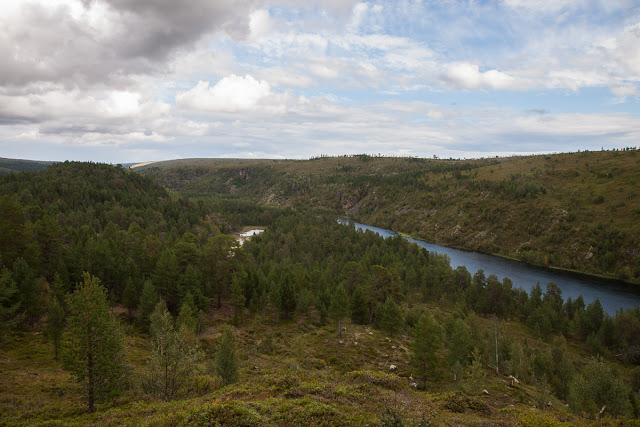 Mäntymetsää Kevolla Mäntymetsää Kevolla