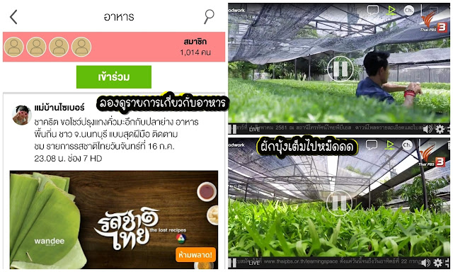 เพลง loox เพลง loox