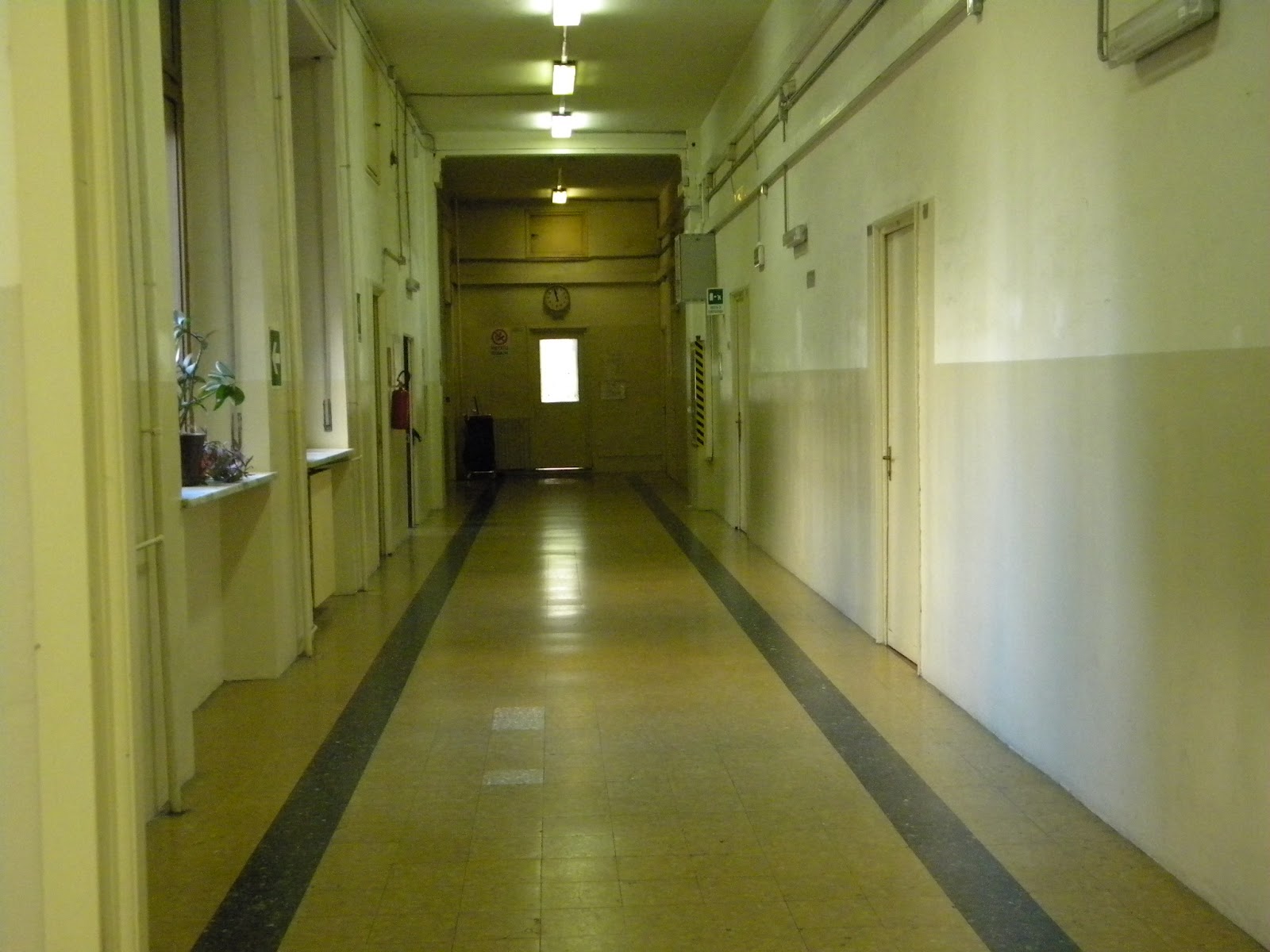 baldung Liceo Galileo Ferraris Torino. 1965 il Professor Manghi