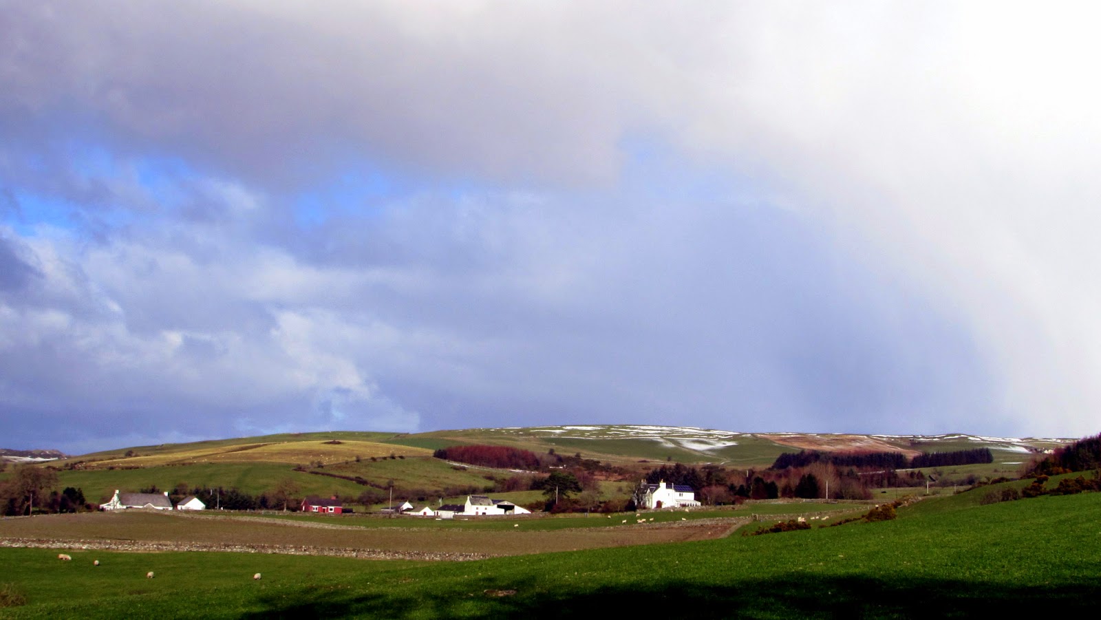 The Glebe Blog Wigtownshire RamblersSt Helena IslandGlenluce Abbey January 2015