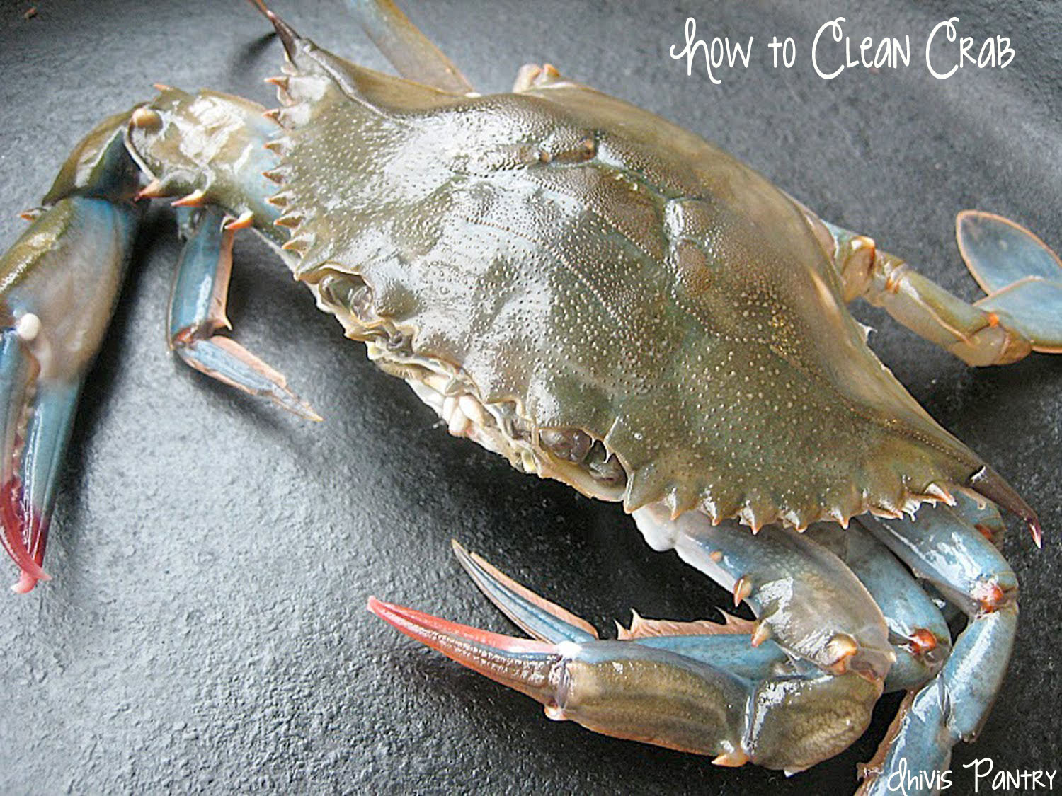 Come To Dhivi's Pantry How to Clean Crabs Cut Crabs